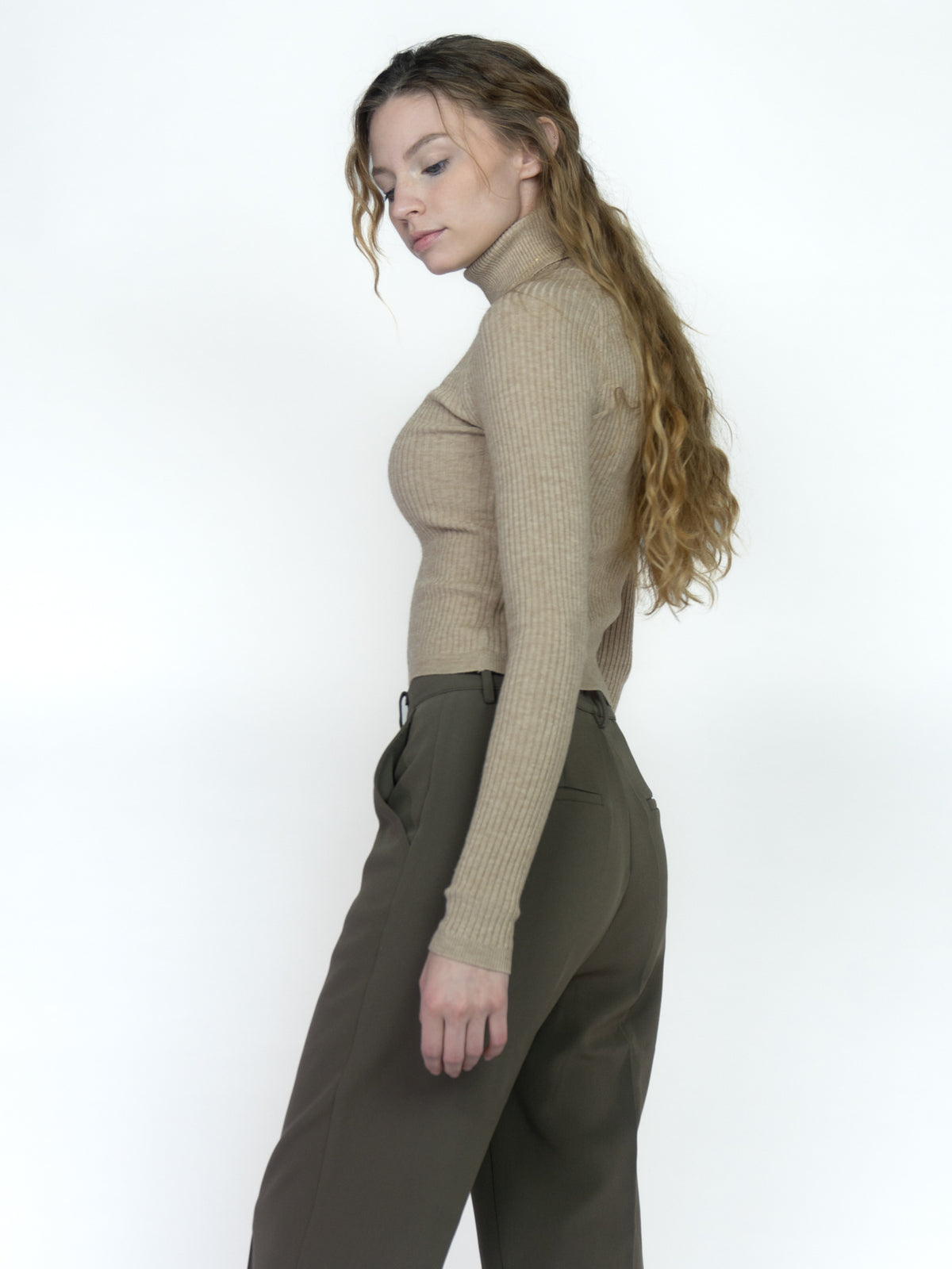 Ribbed Long Sleeve Turtle Neck