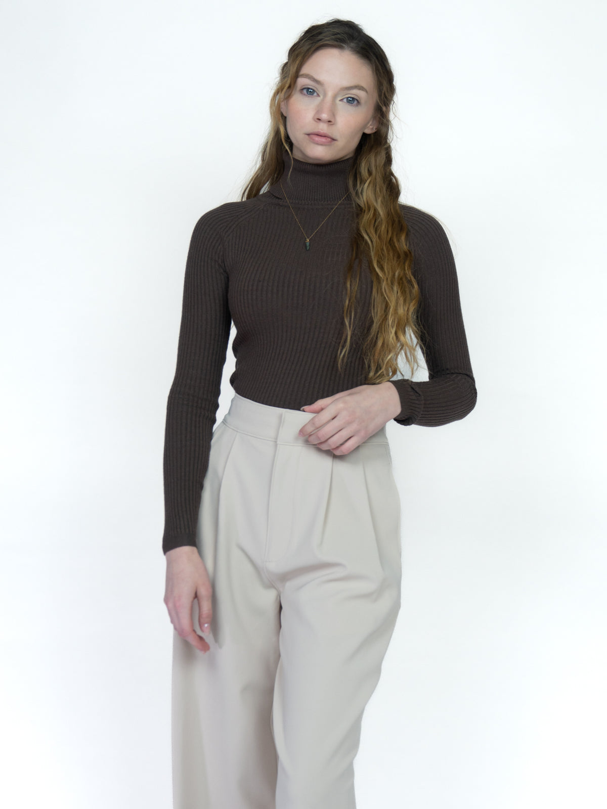 Ribbed Long Sleeve Turtle Neck